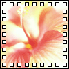 avatar_orkidea